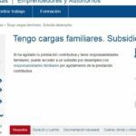 Requisitos necesarios para cobrar la Ayuda Familiar en España